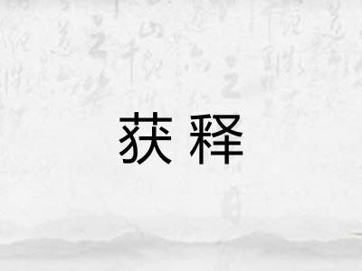 获释 获释