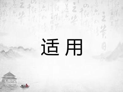 适用 适用