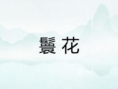 鬟花 鬟花