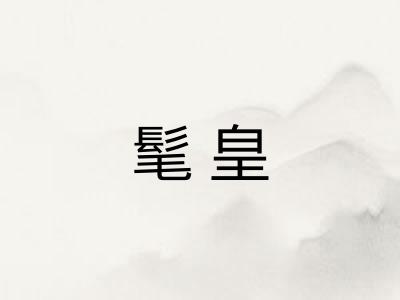 髦皇 髦皇