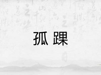 孤踝 孤踝