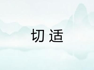 切适 切适