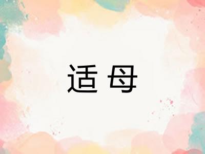 适母 适母