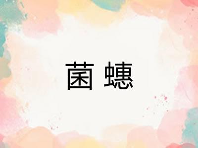 菌蟪 菌蟪