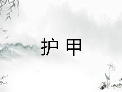 护甲 护甲