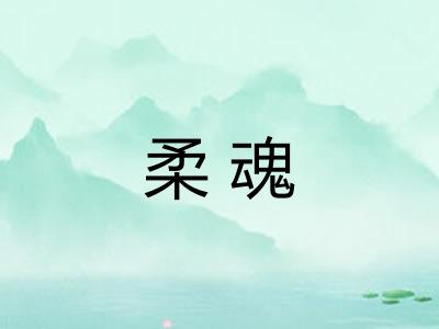 柔魂 柔魂