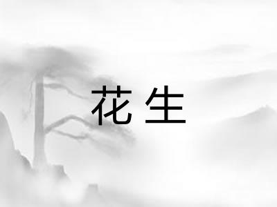 花生 花生