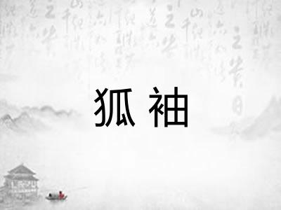 狐袖 狐袖