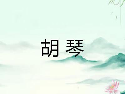 胡琴 胡琴