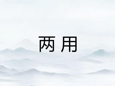 两用 两用