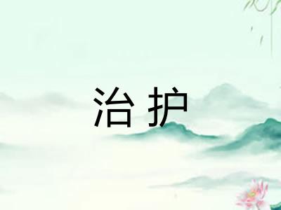 治护