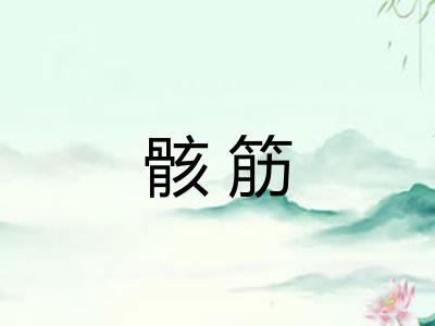 骸筋