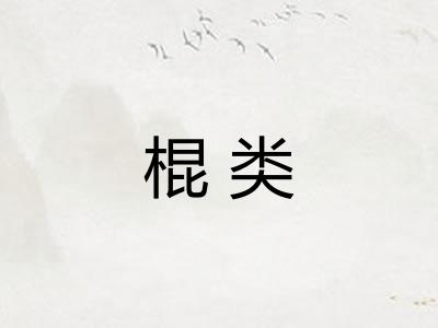 棍类 棍类