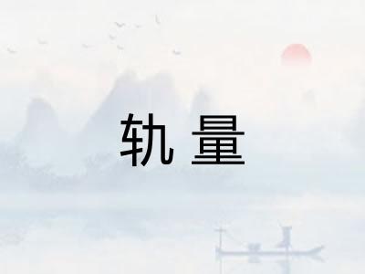 轨量 轨量