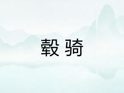 毂骑 毂骑