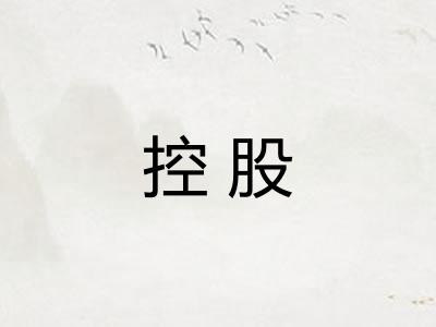 控股 控股