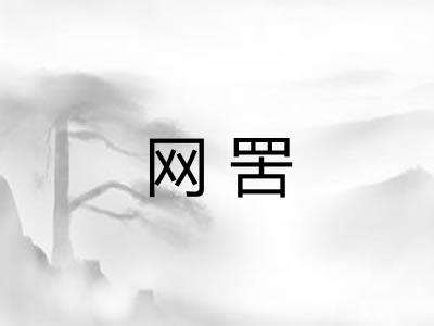 网罟 网罟