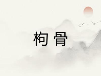 枸骨