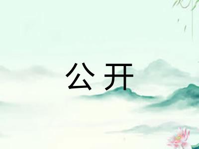 公开