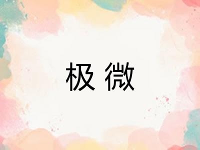 极微