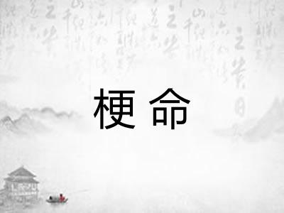 梗命 梗命