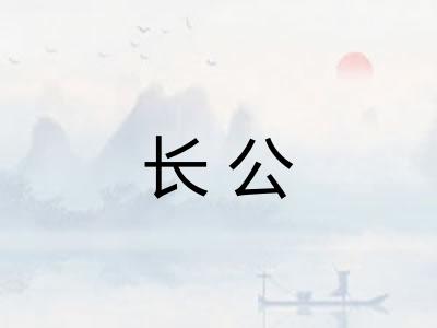 长公 长公