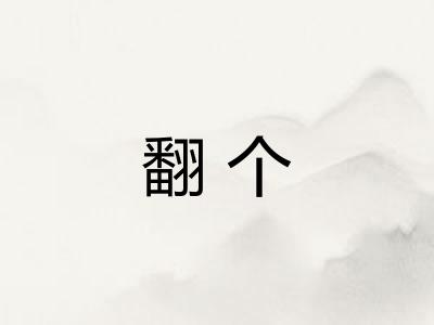 翻个 翻个