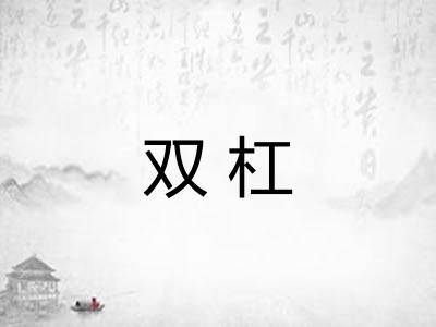 双杠 双杠