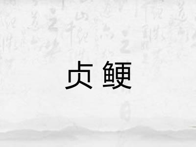 贞鲠 贞鲠