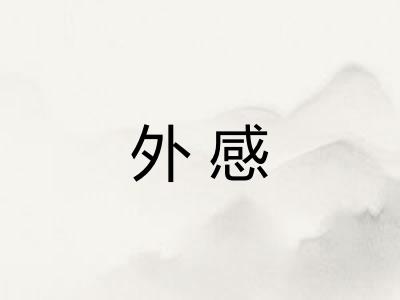 外感 外感