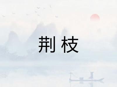 荆枝 荆枝