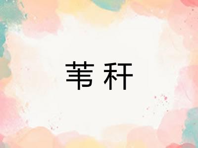 苇秆 苇秆