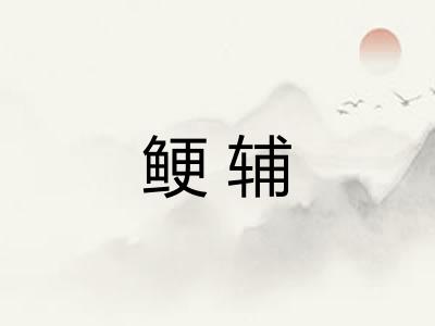 鲠辅 鲠辅