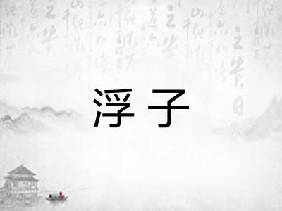 浮子 浮子