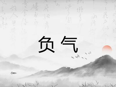负气 负气