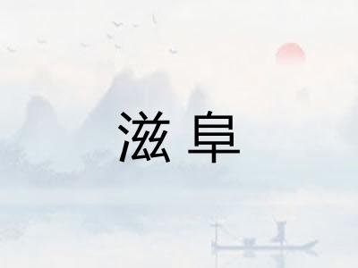 滋阜