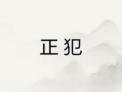 正犯 正犯