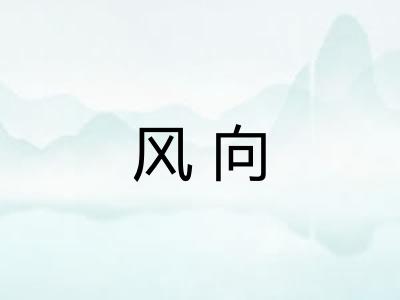 风向