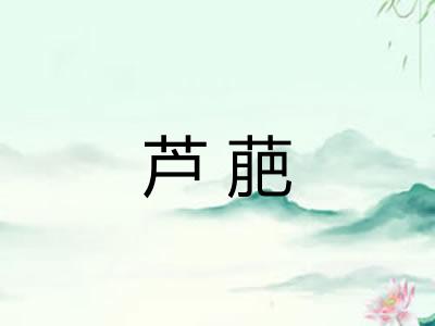 芦萉 芦萉