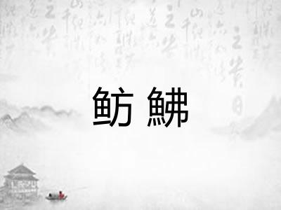 鲂鮄 鲂鮄