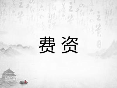 费资