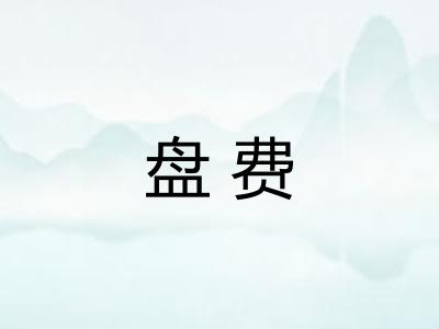 盘费