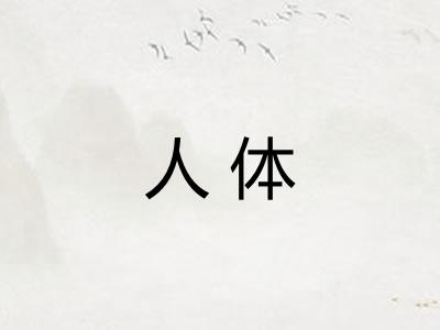 人体