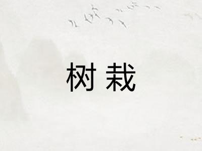 树栽 树栽