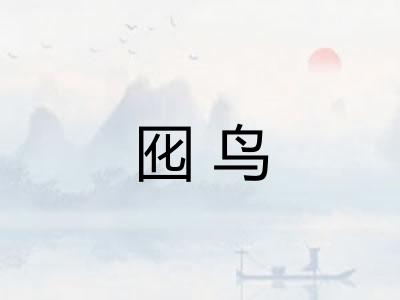 囮鸟