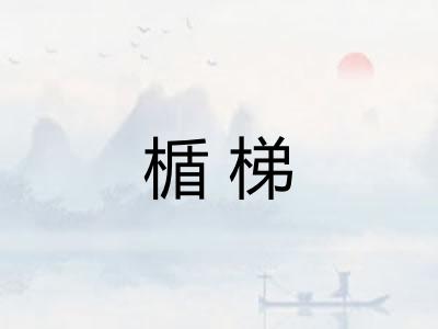 楯梯
