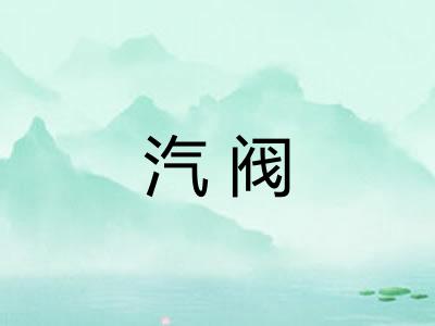 汽阀 汽阀