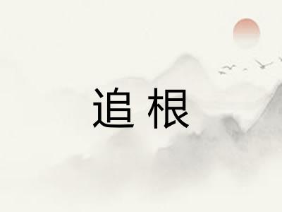 追根