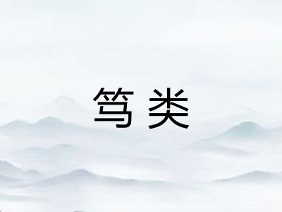 笃类