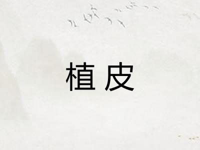 植皮